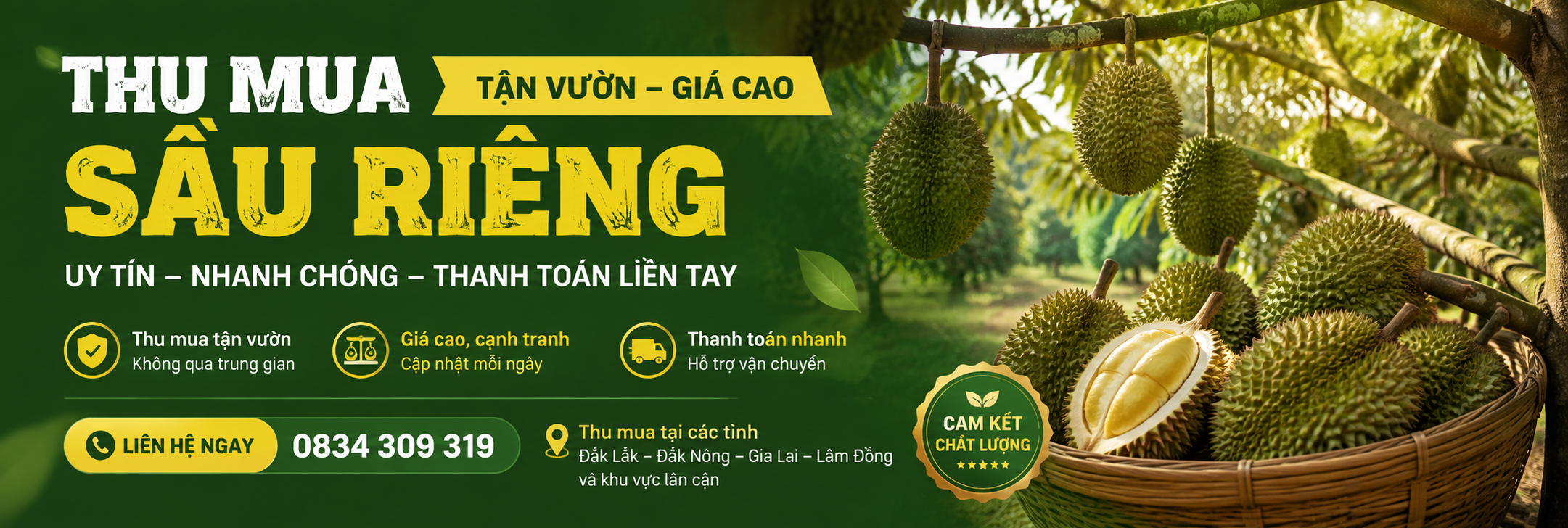 Banner thu mua sầu riêng